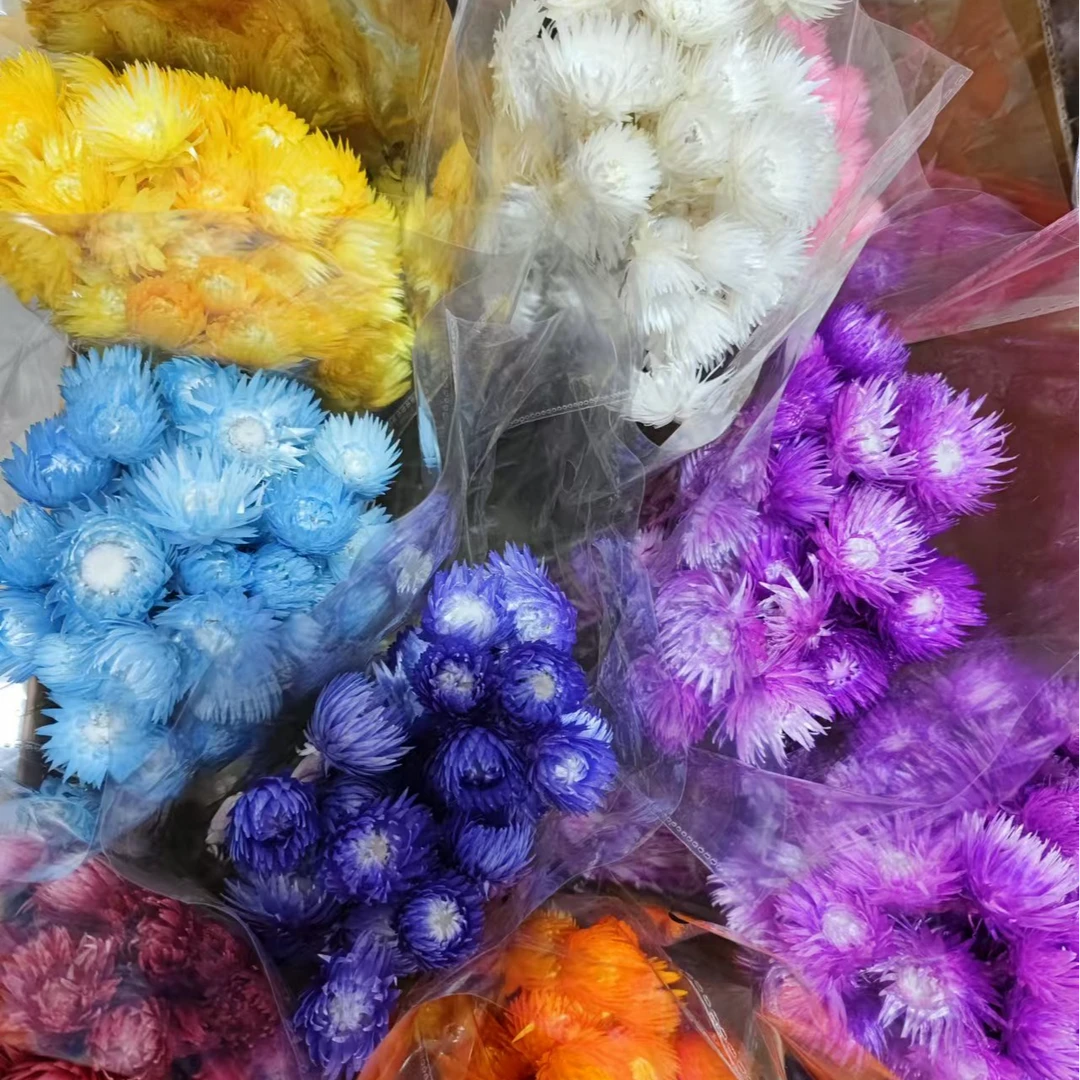 【岩石花】花头直径2-3cm云南干花手工花出口小花束居家装饰花环