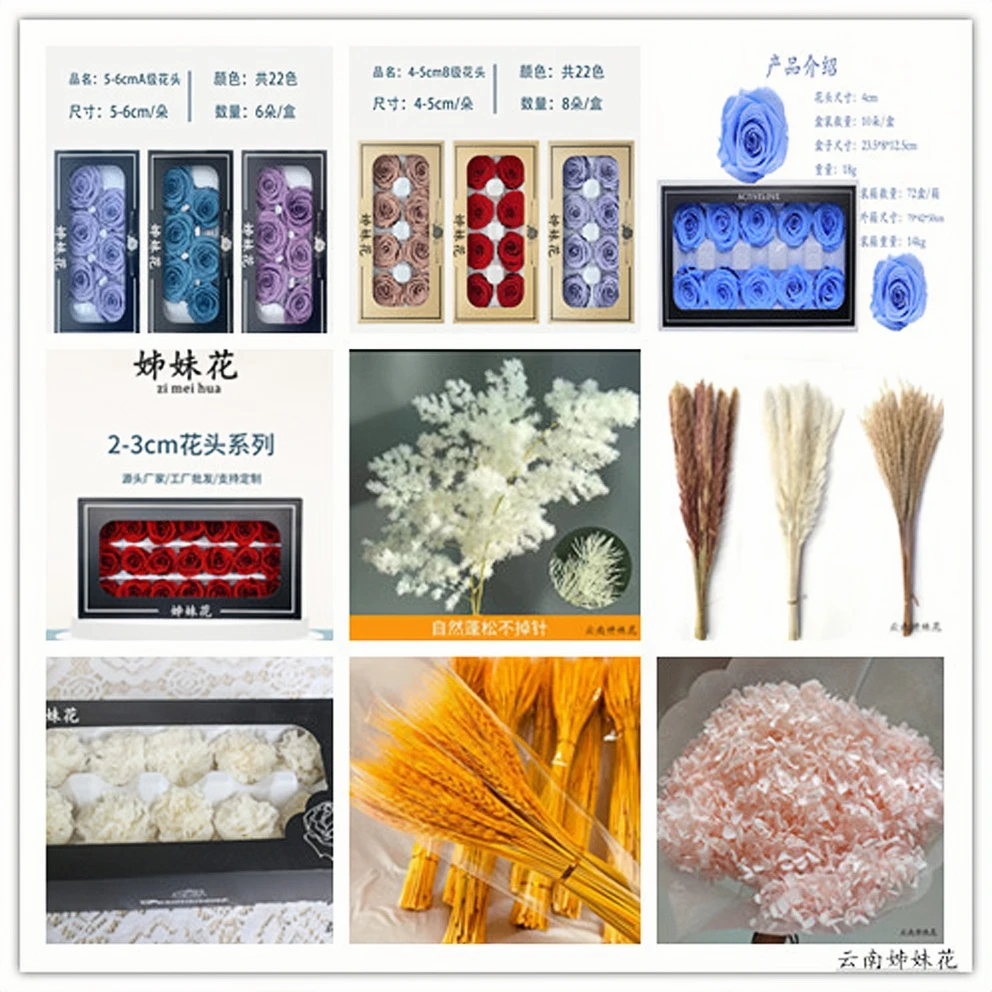 【直播间一物一拍专属链接】干花 永生花 玫瑰展示链接插花装饰花材