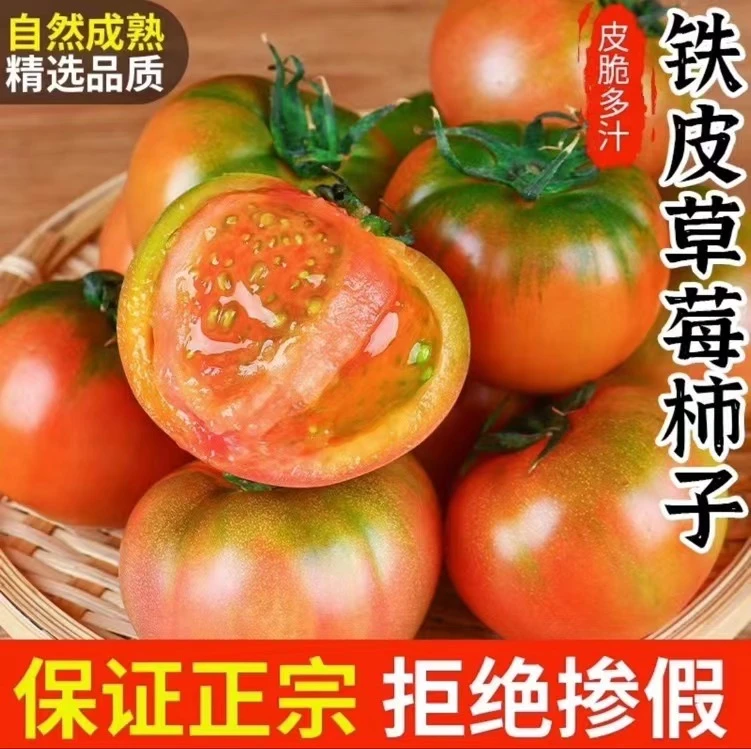 【顺丰快递】沿海露天盐碱地铁皮草莓西红柿小时侯的味道酸酸甜甜