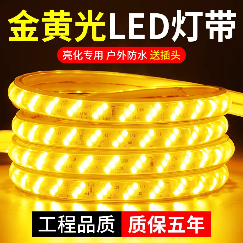 金黄光led灯带220v户外防水室外工程亮化景观照明房檐外墙装饰墙