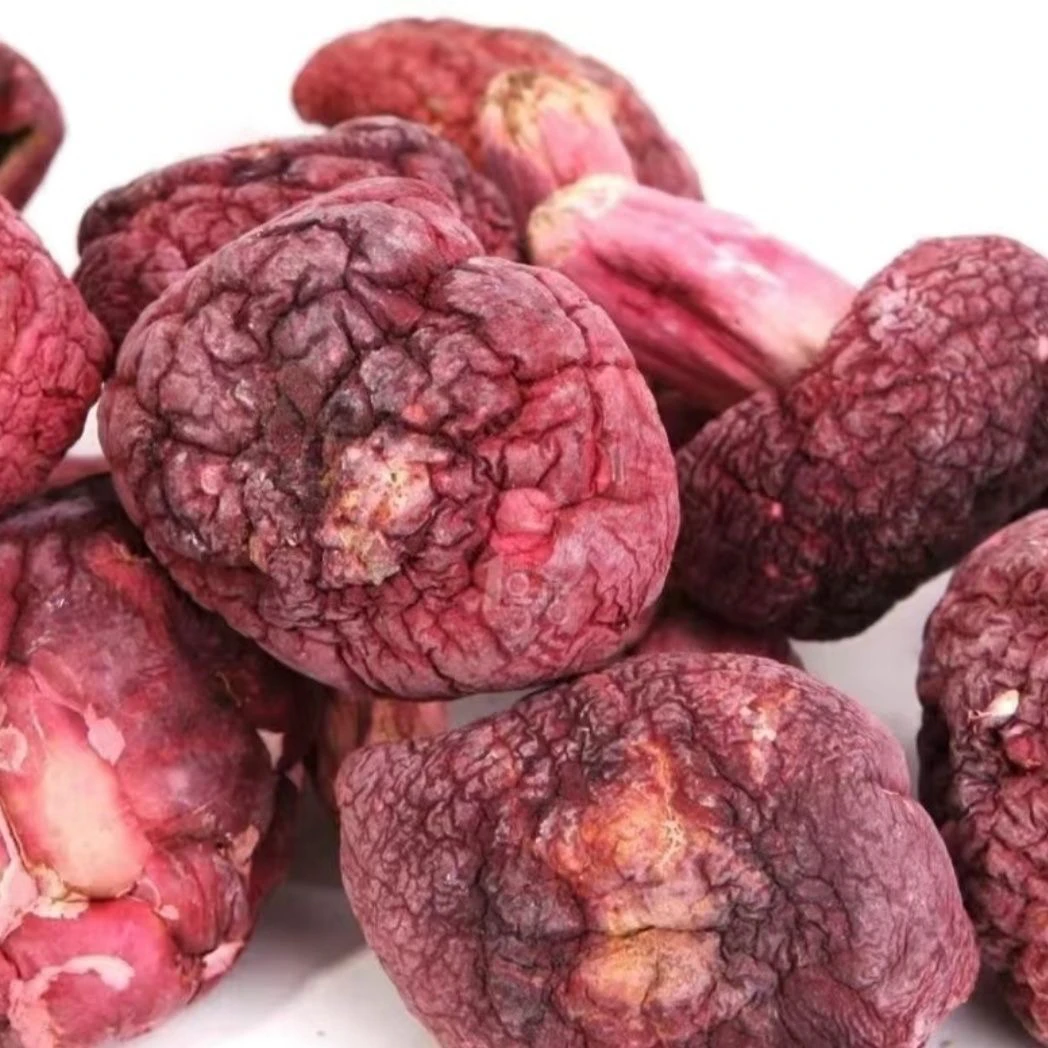 （永兴甄选）广西浪水菇野生正宗红菇干货 新货 红蘑菇