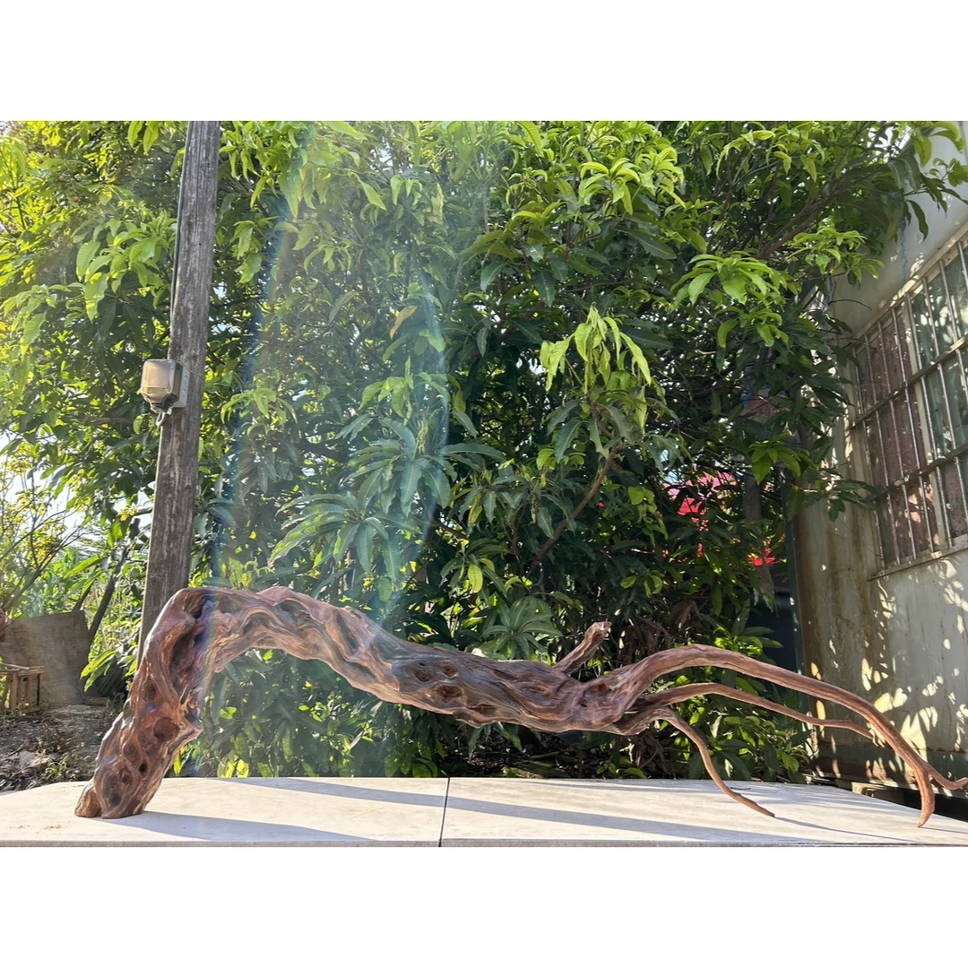 天然爆裂纹扭曲麻花纹理拱桥带飘枝紫柚木南美缸鱼缸造景沉木