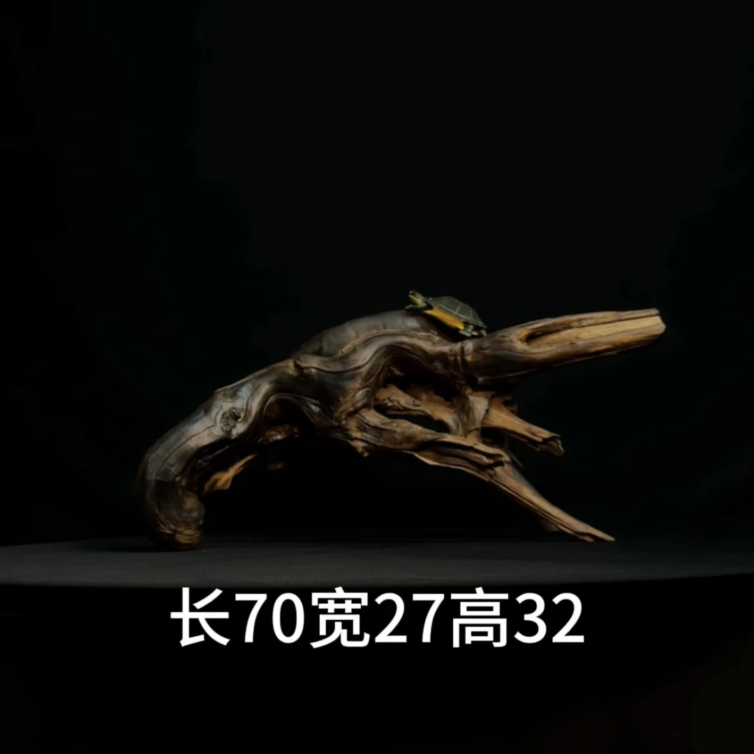 张大狼沉木造景鱼缸雷龙造景乌龟爬宠晒台爬台厚重多枝独立站稳
