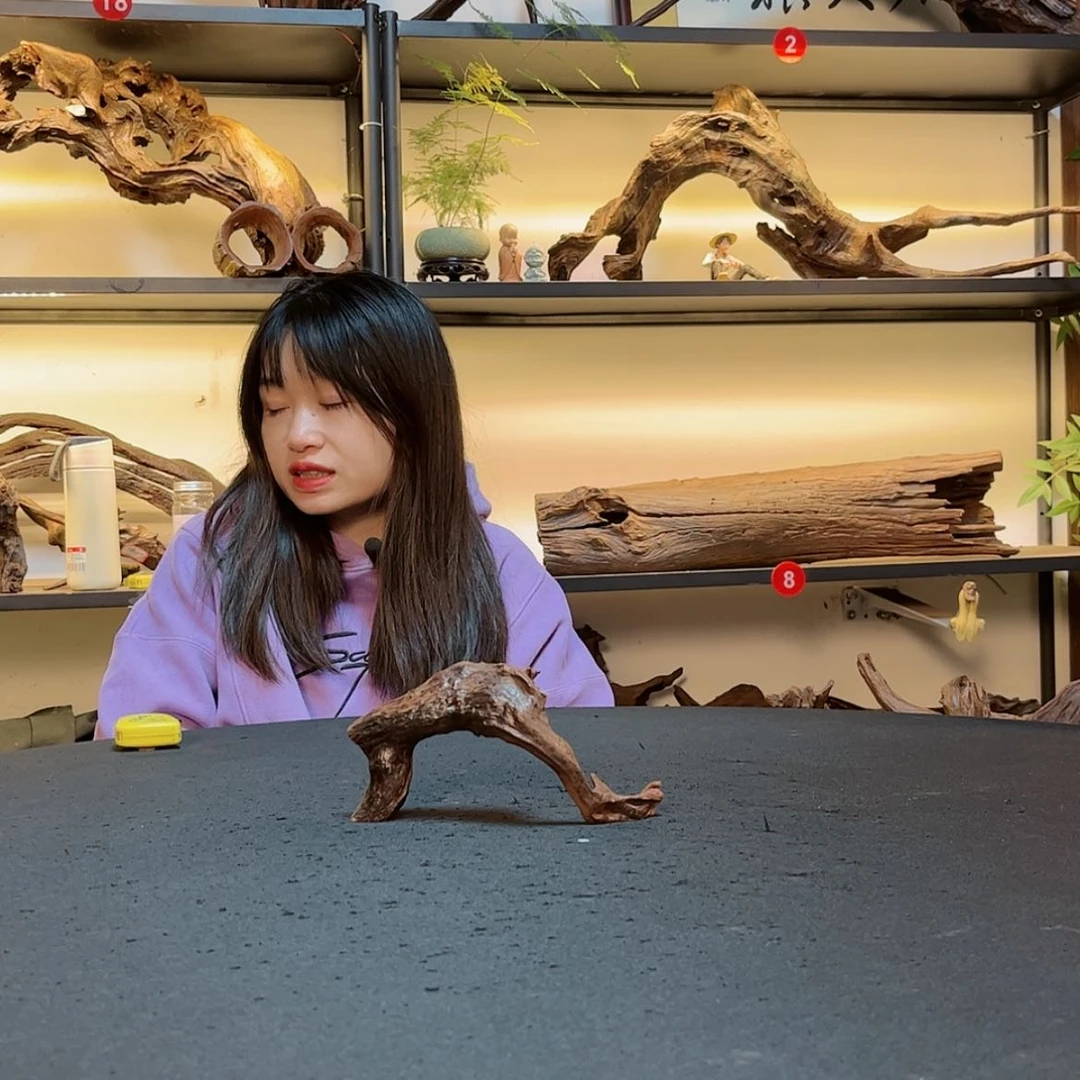 【闪购商品】密胺摆件益**镜H698