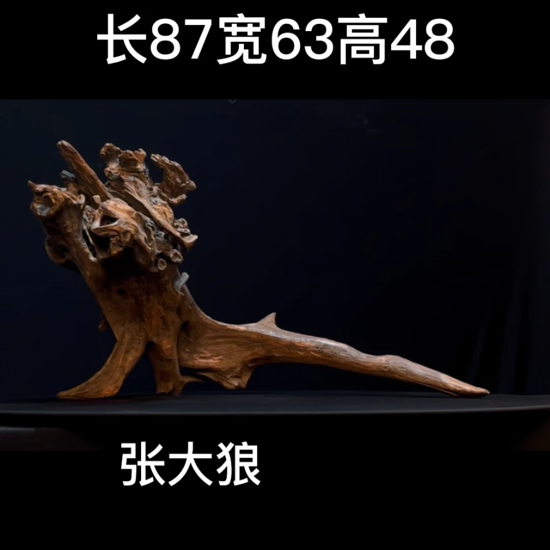 张大狼沉木造景精品树桩紫柚木鱼缸精品沉木