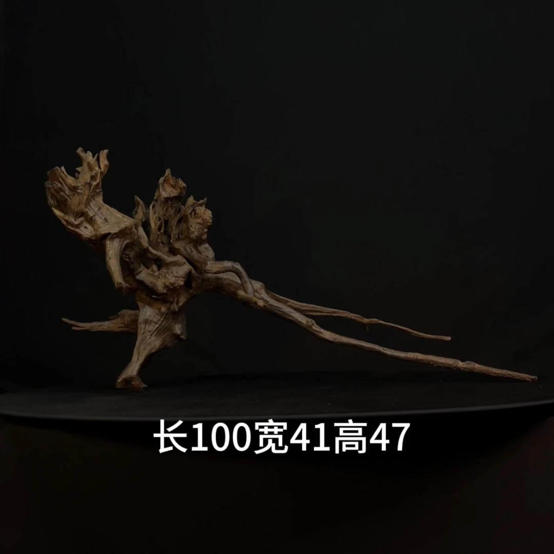 张大狼沉木造景鱼缸造景调节水质天然一体树桩带多飘枝沉木