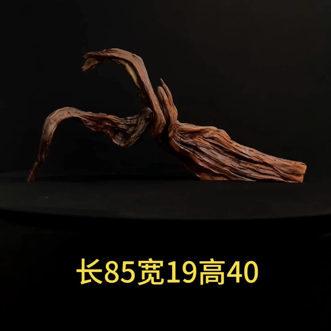 张大狼沉木造景南美缸造景沉木天然扭曲螺旋带镂空飘枝一木成景