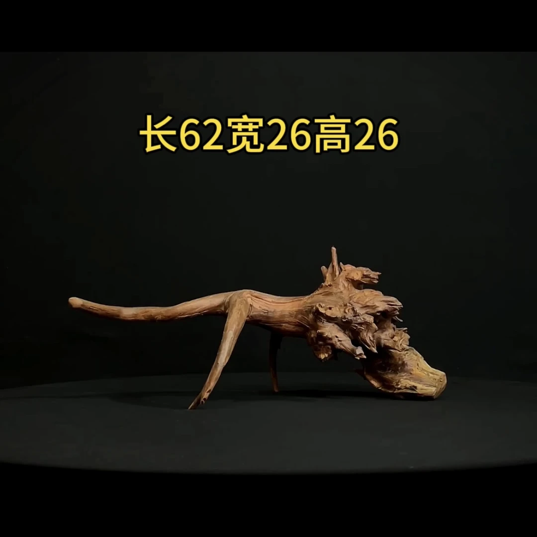 张大狼沉木鱼缸造景62cm长拱桥飘枝造型沉木鱼缸装饰摆件