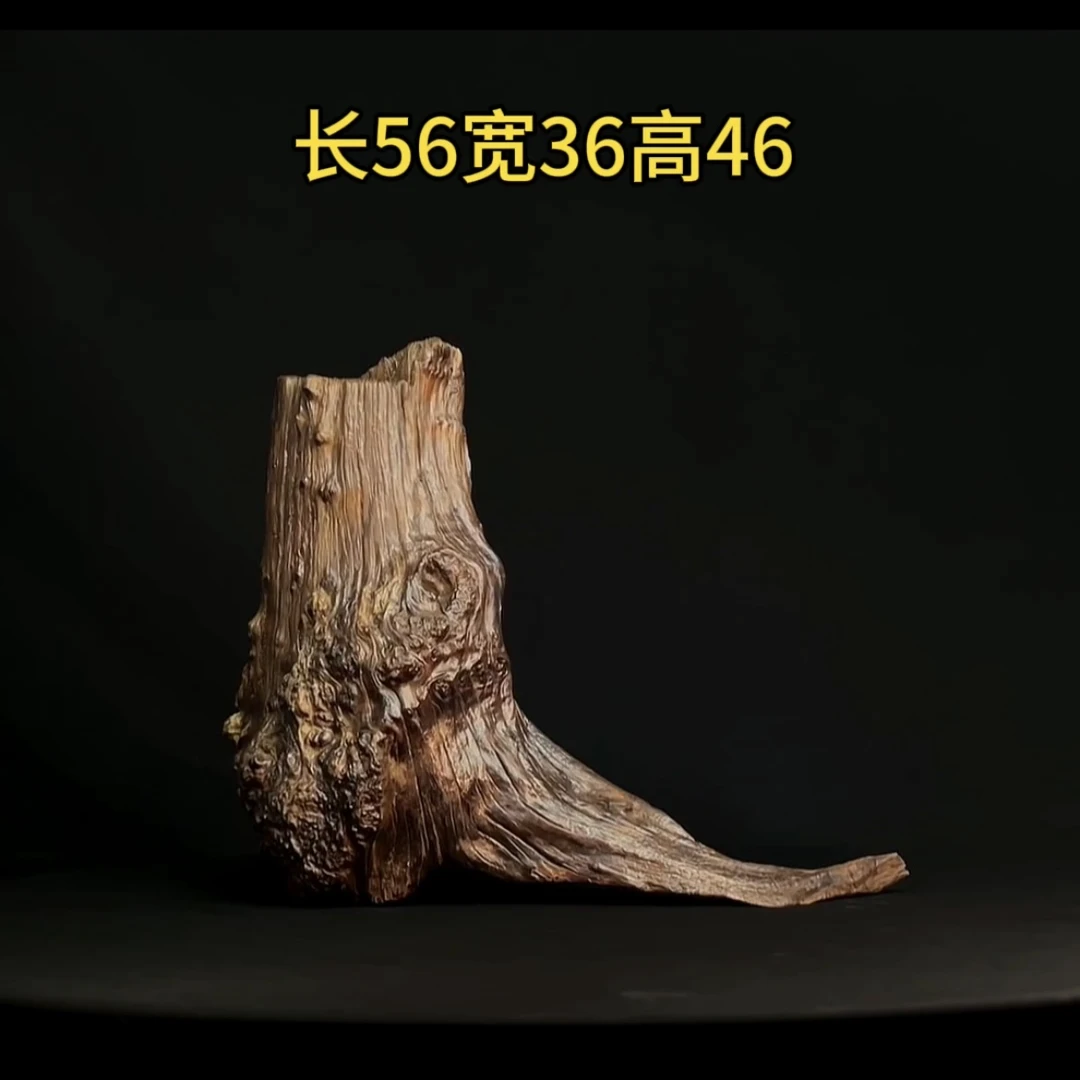 张大狼鱼缸造景56cm爆款瘤巴大树桩爆裂沉木鱼缸装饰摆件