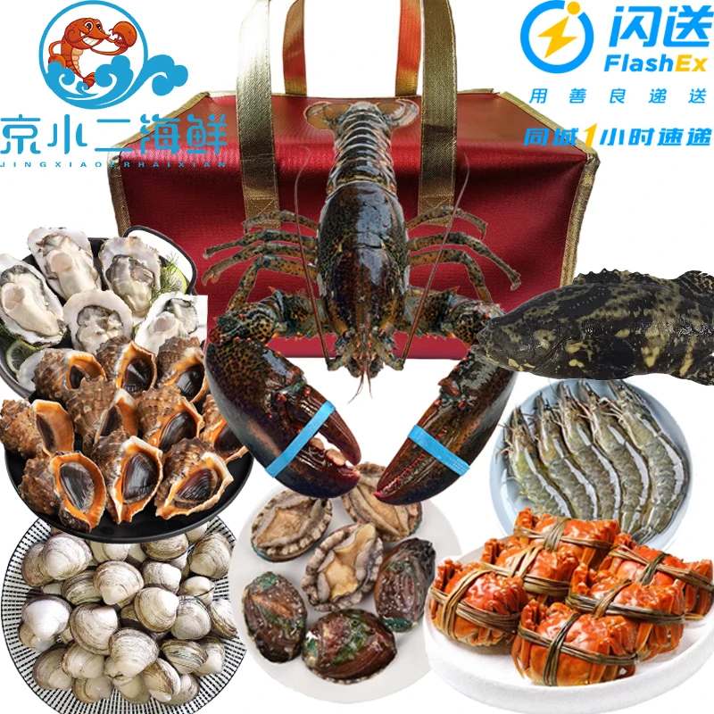 鲜活波龙大礼包 1688型
