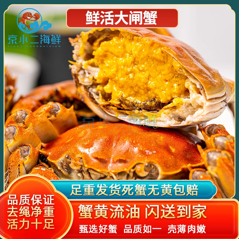 【特价】10只装 鲜活全母大闸蟹 1.5-1.8两/只