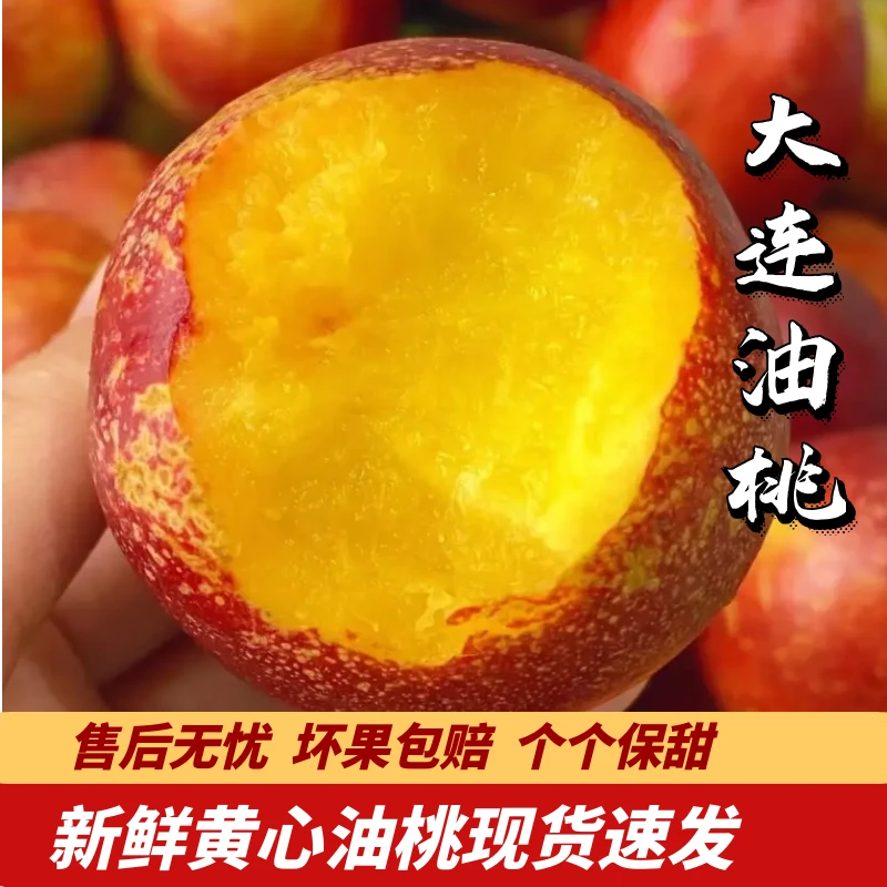 大连油桃大连黄心油桃新鲜油桃皮薄肉厚顺丰包邮2/3/5斤营养全国