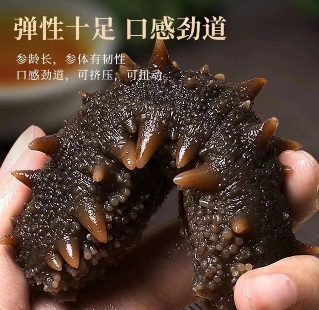 【宁宁专属】青岛渤海即食海参60-70头加两只试吃