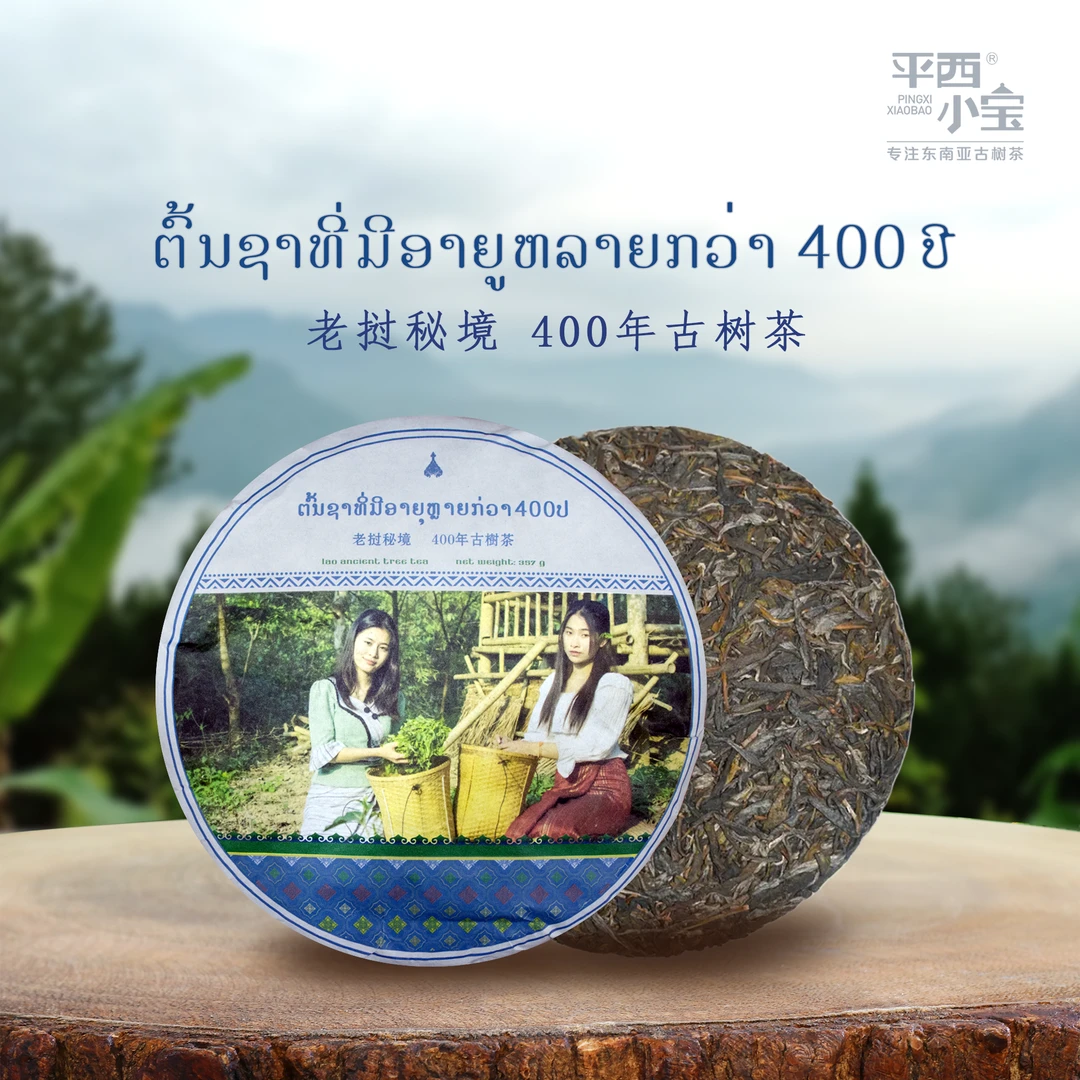 平西小宝 400年古树老挝秘境丰沙里生茶357g