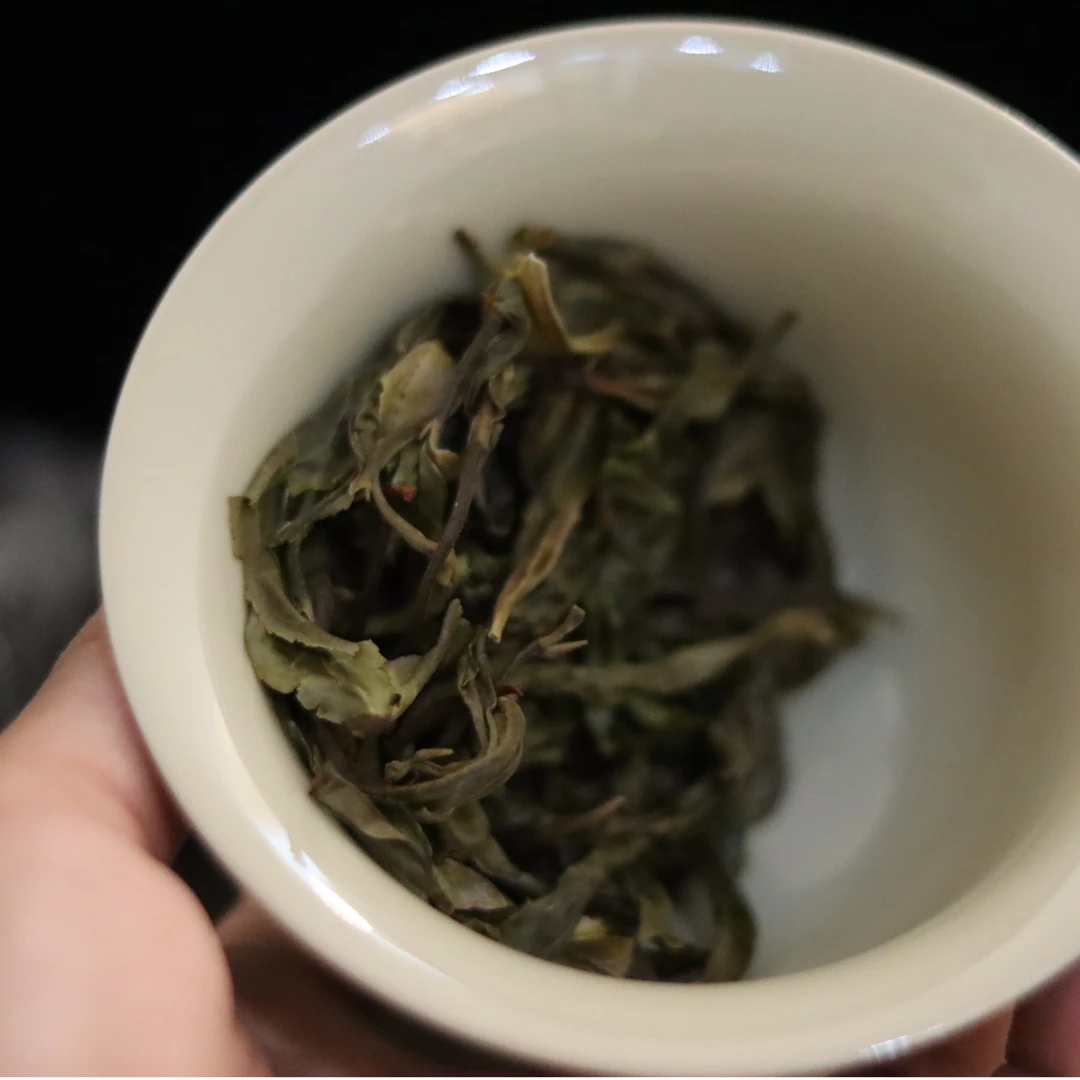 劳斯茶叶云南普洱茶糯伍