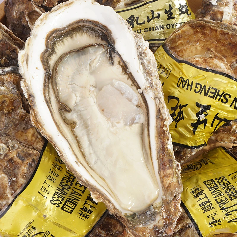 五两-六两生蚝5斤10个左右