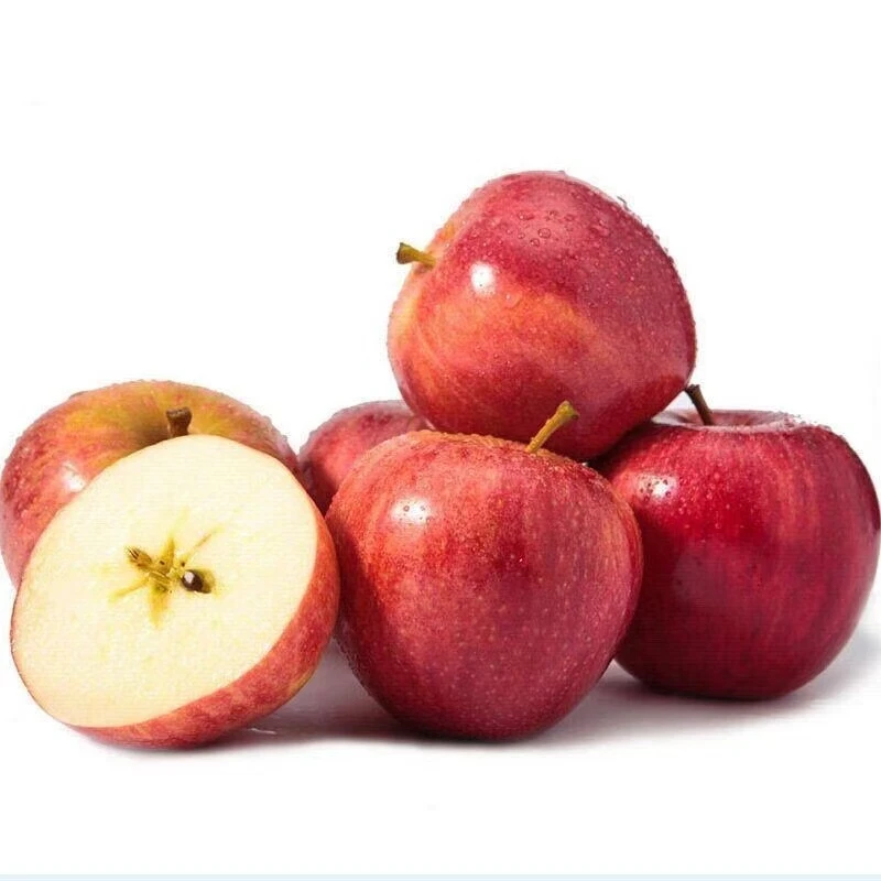 苹果帮阿邦阿邦阿邦帮帮帮