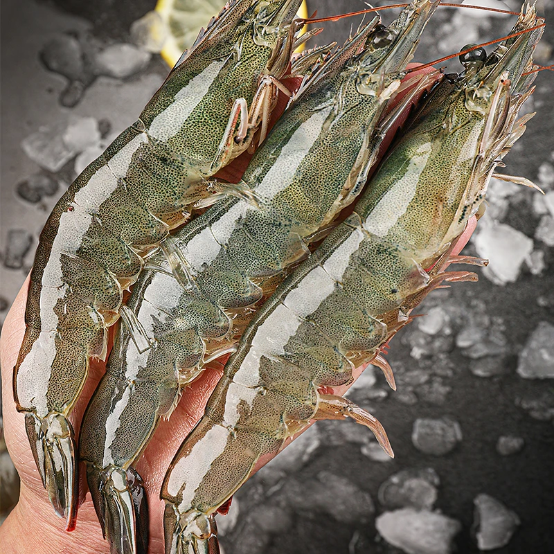青岛发货20/30规格约15-18cm 大号海虾净重3斤35-45只 鲜活急冻