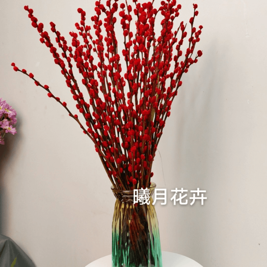 银柳（冬季爆款新品）可放1年的干花 （60CM长）