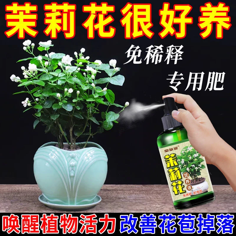 【茉莉掉花苞】茉莉花肥料专治掉花苞僵苗黄叶不开花茉莉花营养液