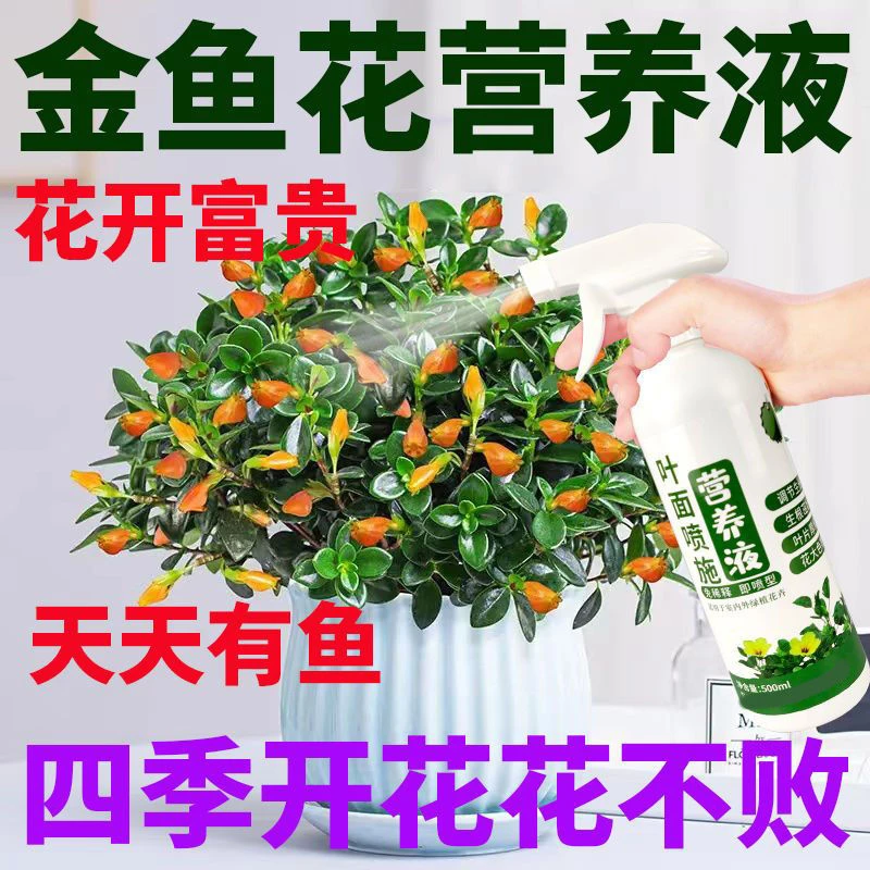 金鱼花营养液催花促花长新芽防褐斑不开花不生长免稀释直喷养花肥