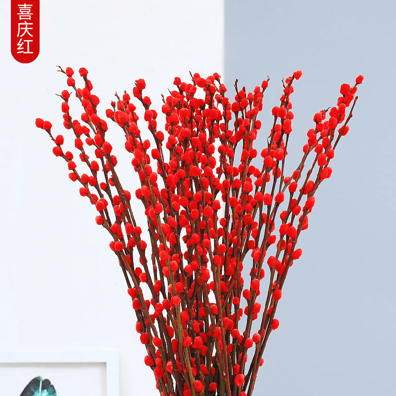 银柳真花鲜枝春节年宵花干花红色客厅室内装饰直发