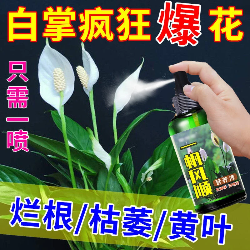 一帆风顺营养液红掌白掌肥催花促花养花蕾去黄叶叶面干枯烂叶剂-