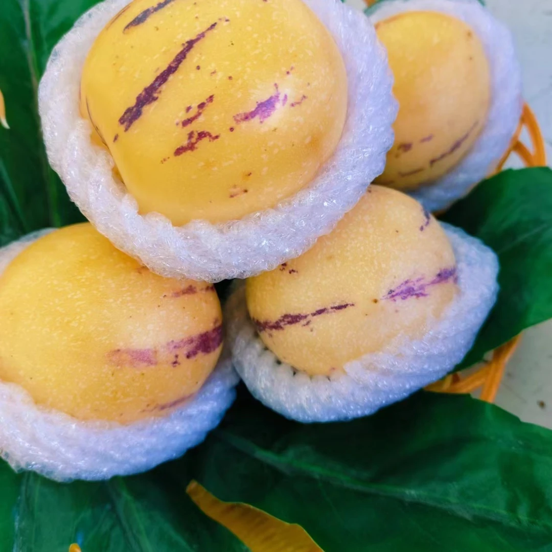 云南人参果 2斤