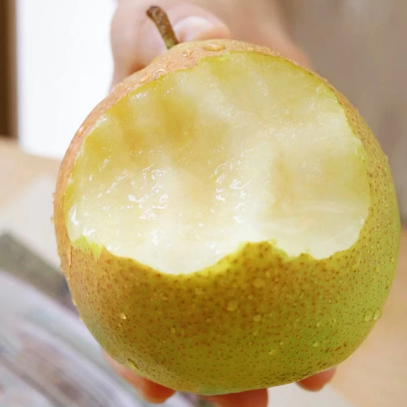 山西玉露香梨新鲜水果现摘脆甜爆汁礼盒精选当季整箱香酥梨丹霞红