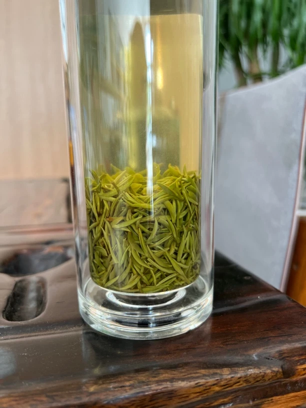 信阳毛尖绿茶明前高山