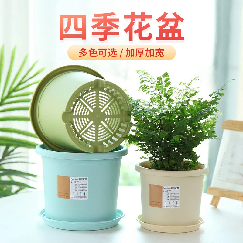 花盆+泥土 适合种子种球球根花卉盆土 矮加仑四季盆 保湿透气土壤