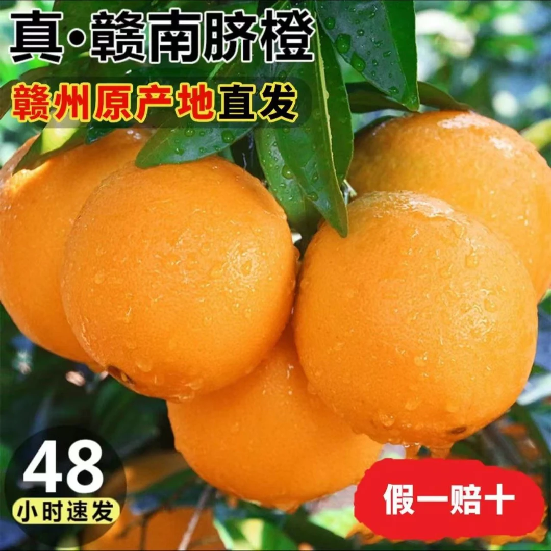 正品赣南脐橙带防伪箱贴 买八斤送两斤，带箱10斤（花皮溃疡果）