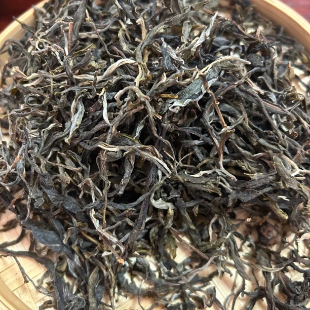 2021勐库古树普洱生茶散茶