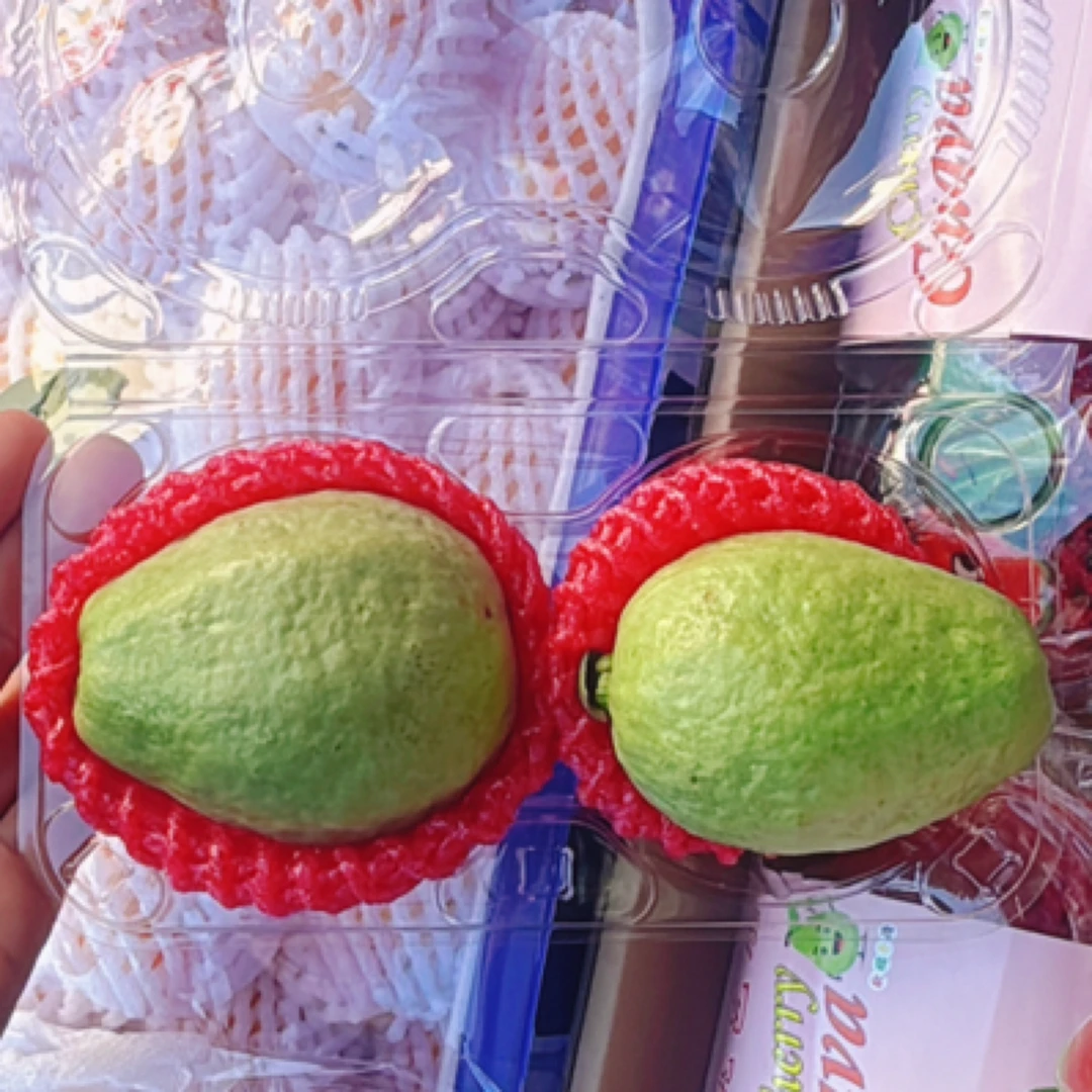 红心芭乐 草莓樱桃芭乐 番石榴 两粒 放软了再吃