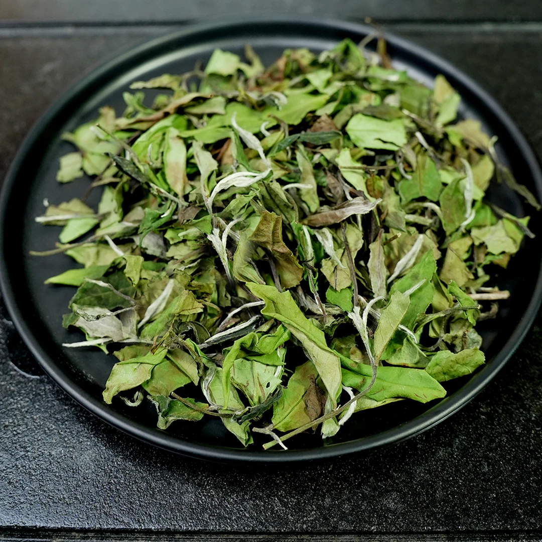 【冬甜】2023年高山秋白露！冬片白茶清甜高山白茶白露寿眉