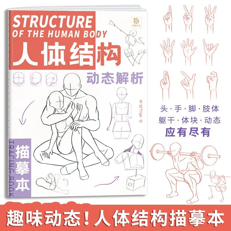 结构动态解析描摹本速写人体临摹画册动漫速写素描手绘描摹漫画