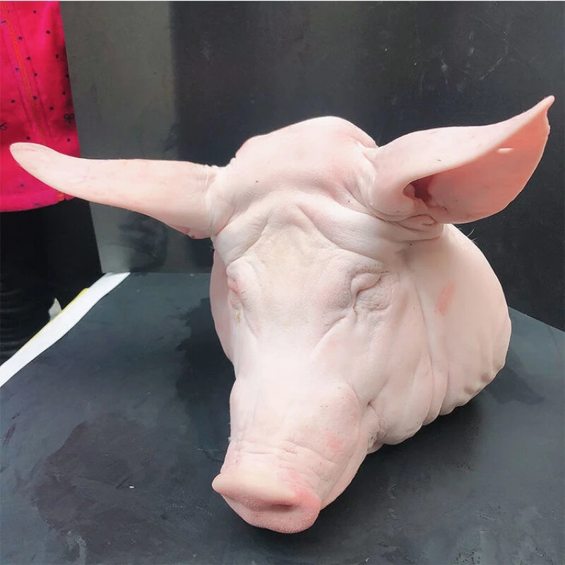 林地散养白猪 猪头（半个）