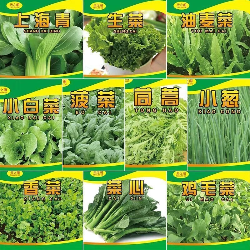 10种蔬菜种子四季播菜种籽室内外阳台绿植盆栽庭院秋冬季蔬菜种子