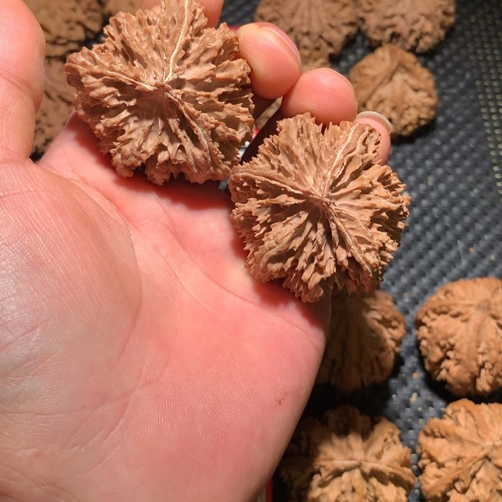 文玩核桃把件我****？秦岭野生文玩核桃