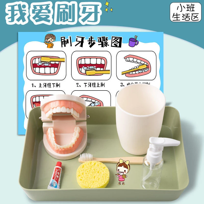 幼儿园中小班生活区蒙氏早教刷牙模型自制教玩具区域区角材料投放