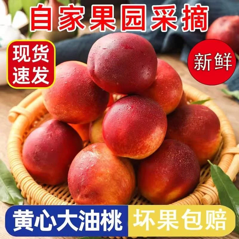［张小火］沙地大油桃新鲜应季大桃子水果当季水蜜桃孕妇脆桃时令