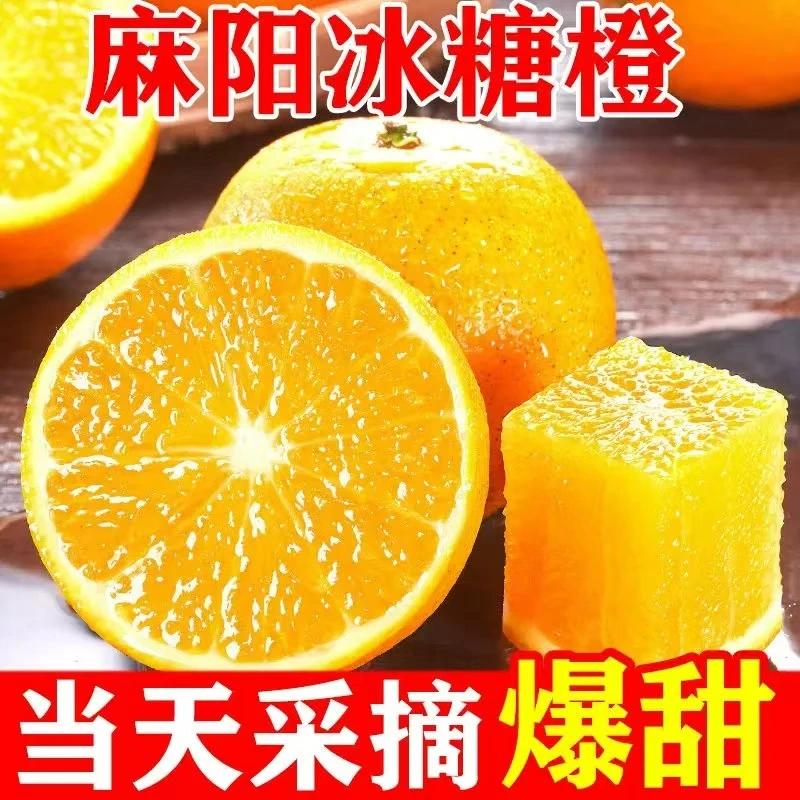 J 正宗麻阳冰糖橙现摘现发香甜可口带箱5斤单果50-60mm坏果包赔