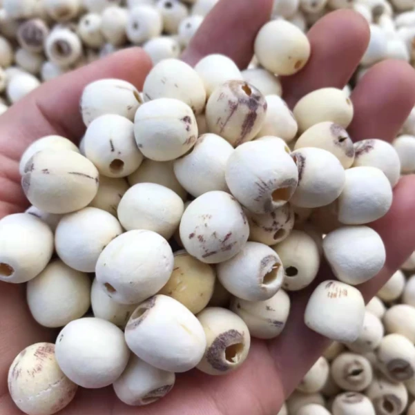 湘潭磨皮白莲子 粉糯