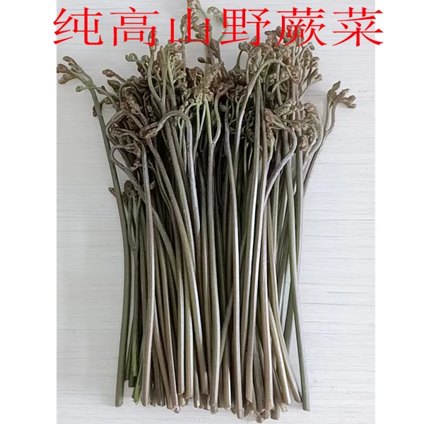正宗江西当季纯高山野蕨菜 山野菜新鲜蕨菜现摘绿色蔬菜龙爪菜