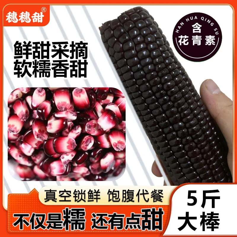 黑糯玉米新鲜真空包装糯玉米代餐非转基因整箱早餐粗粮5斤大棒