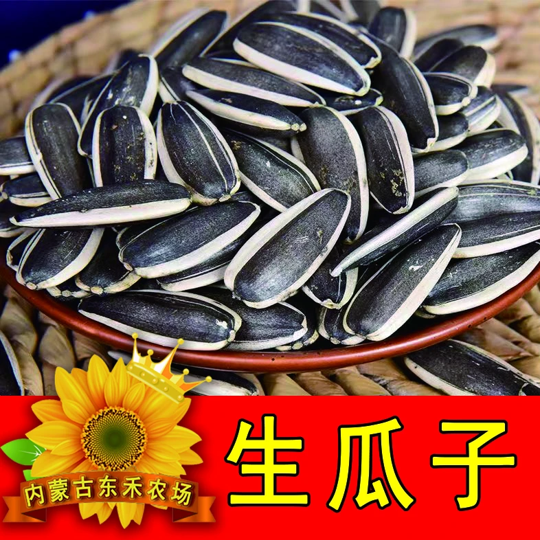 生瓜子2024年新货363大颗粒原产地直发