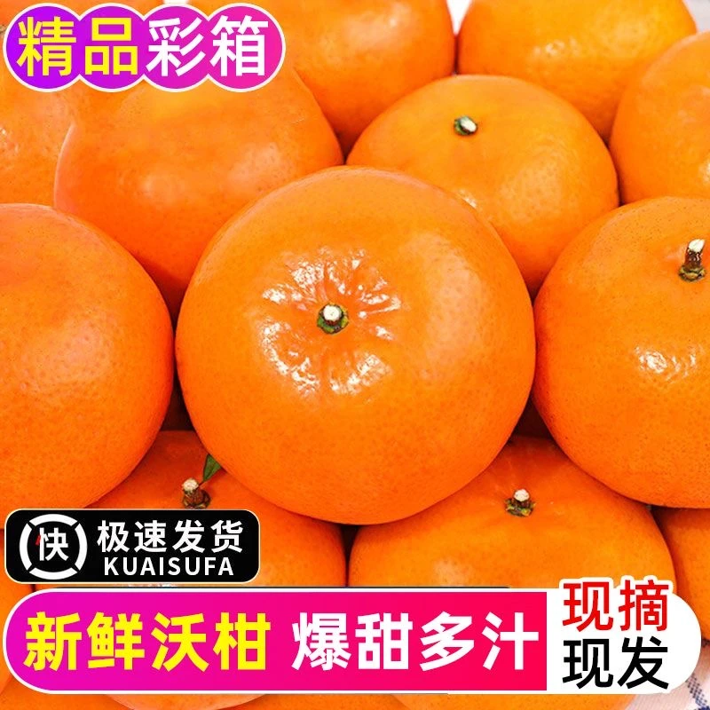 广西武鸣沃柑甜沃柑橘子桔子3斤装中大果单果60-70mm新鲜精品皮薄