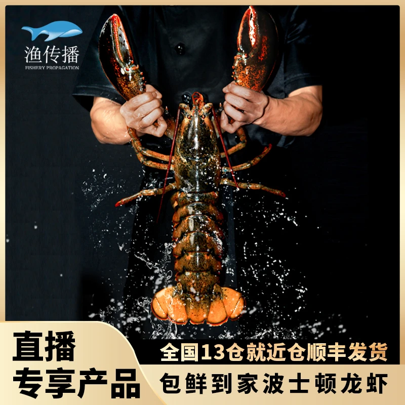 渔传播【鲜活到家】加拿大进口波士顿龙虾450-500g*2只装 顺丰包邮