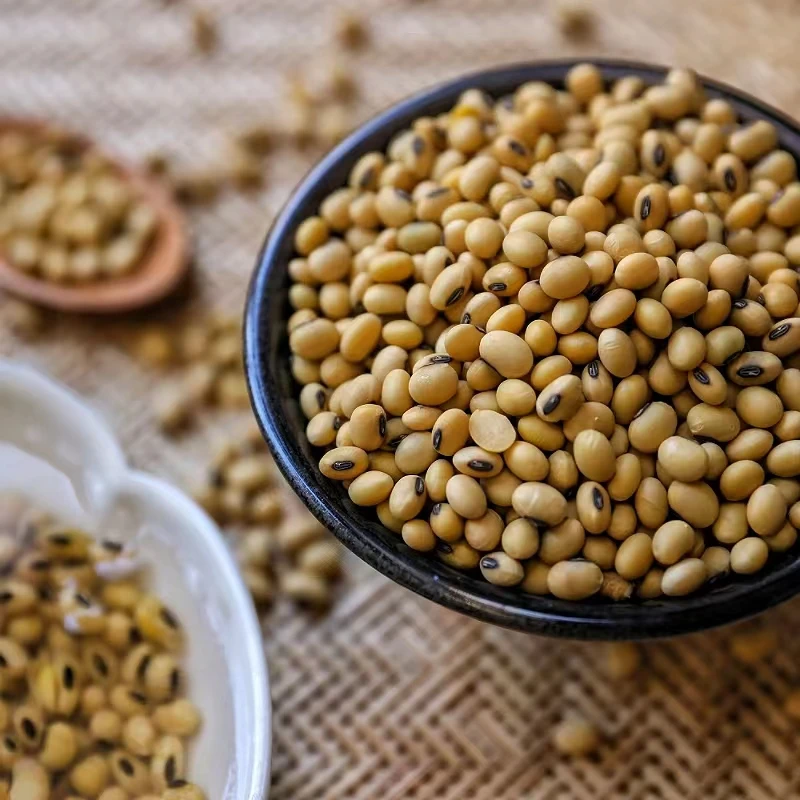 2斤装四川泸州洪安桥农家老品种黄豆