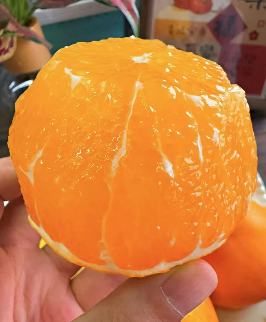 【小雨超市甄选】爱媛果冻橙